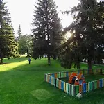 En Con Vistas. Edif Aigualluts * Cerler